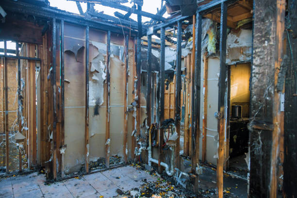 Professional Odor Removal technician working in Stony Prairie, OH